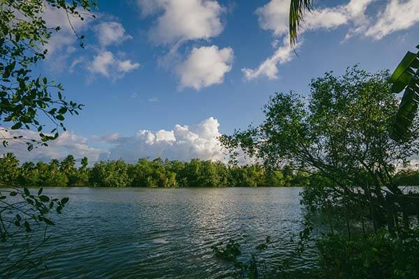 越看越觉得不对劲，蘑菇视频这事，后面反转有点猛